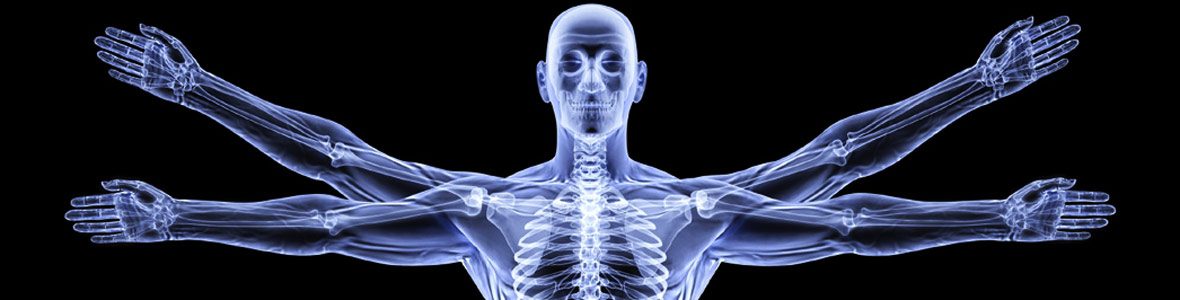 Os Princípios da Osteopaptia Fisioterapia Clínica Pisati